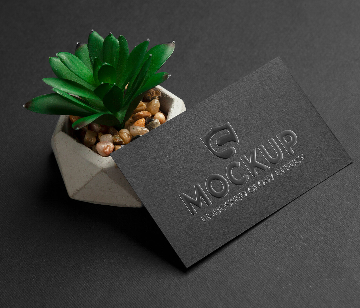 Raised UV Business Card