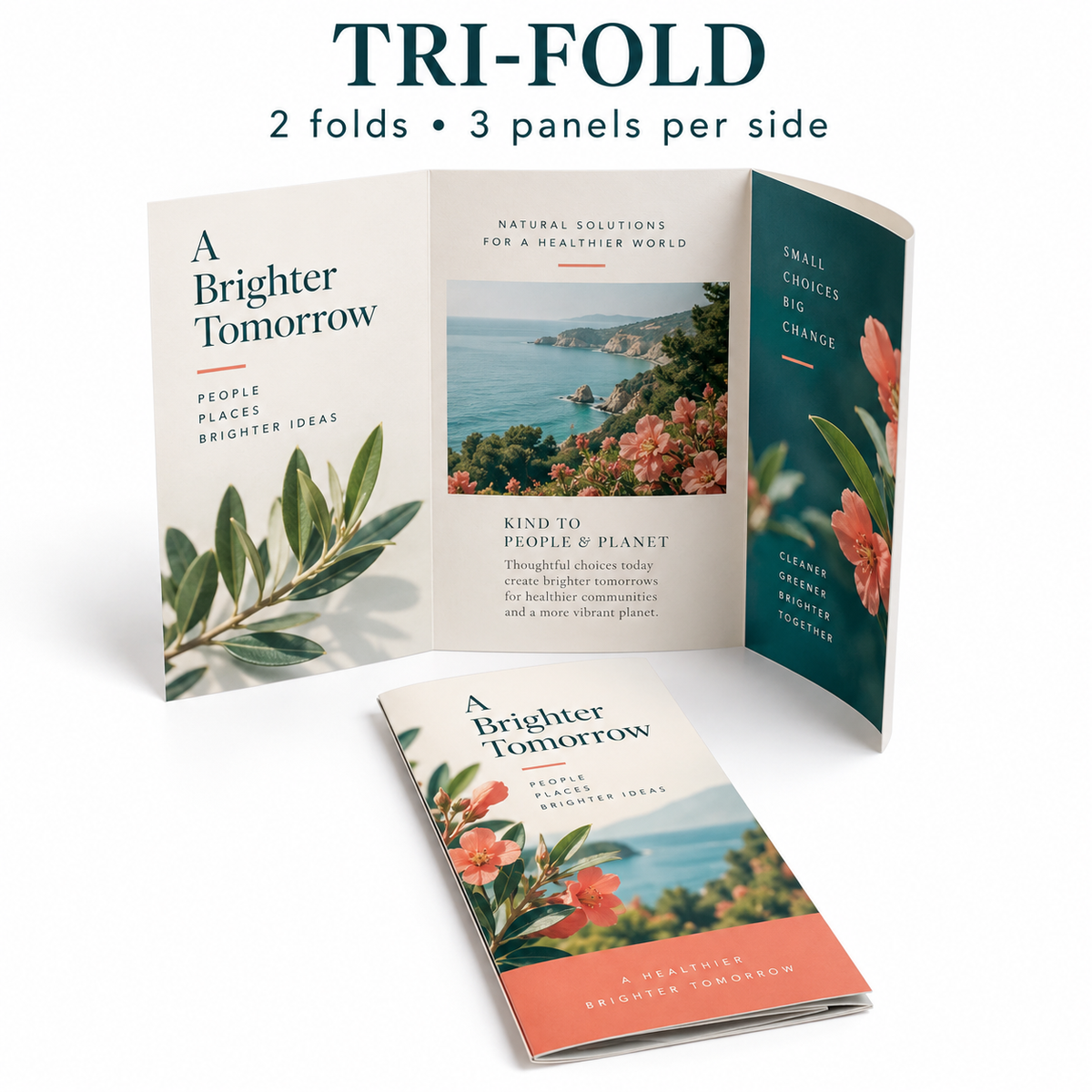 Tri-fold brochure — two inward folds, three panels per side